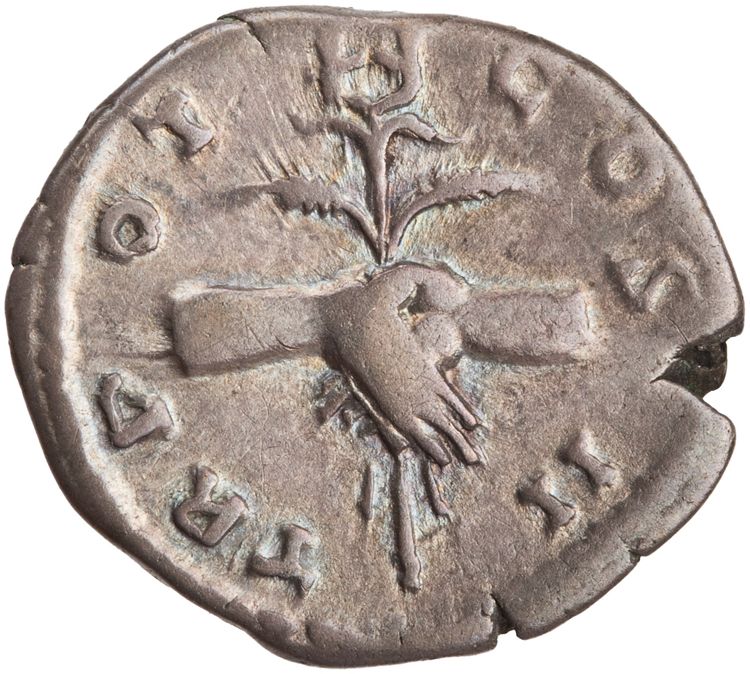 RIC III Antoninus Pius 43, реверс, American Numismatic Society (ans)