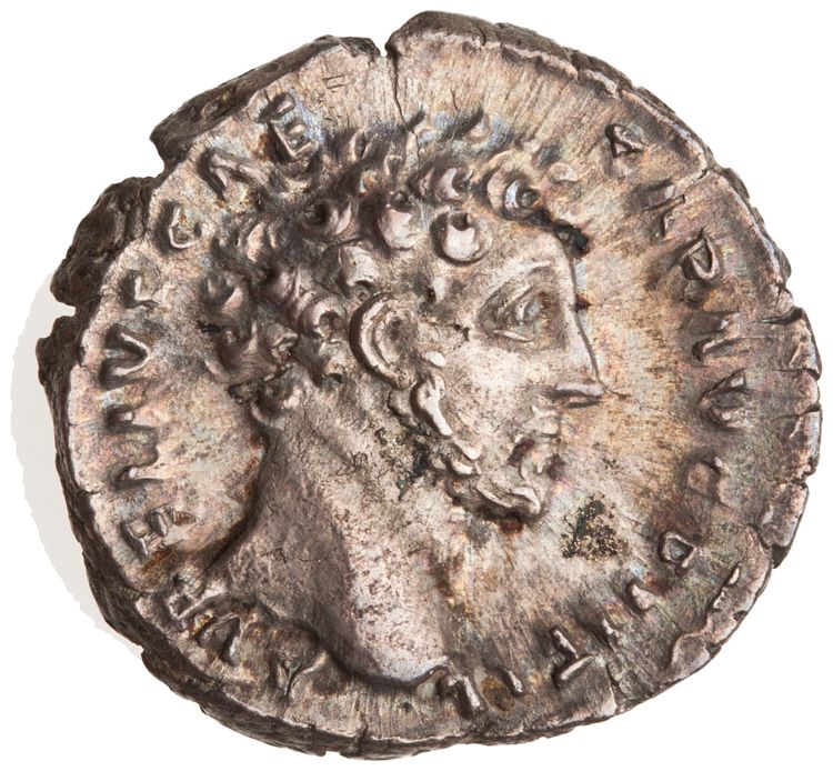 RIC III Antoninus Pius 458, аверс, American Numismatic Society (ans)