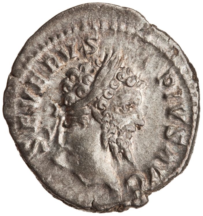 RIC IV Septimius Severus 196 (denarius), аверс, American Numismatic Society (ans)