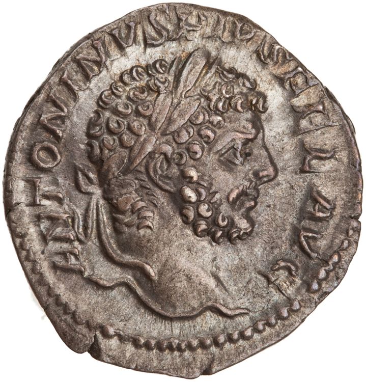 RIC IV Caracalla 206b, аверс, American Numismatic Society (ans)