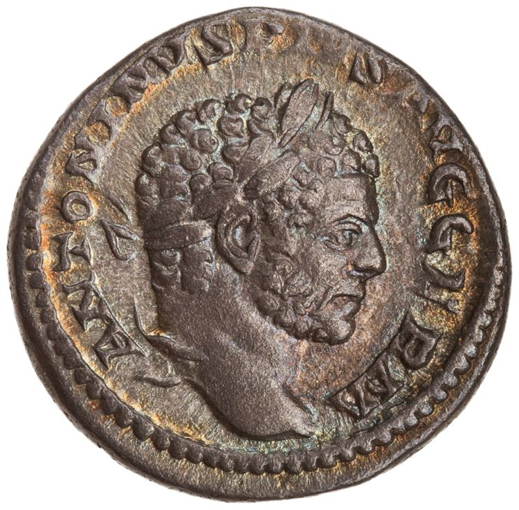RIC IV Caracalla 254, аверс, American Numismatic Society (ans)
