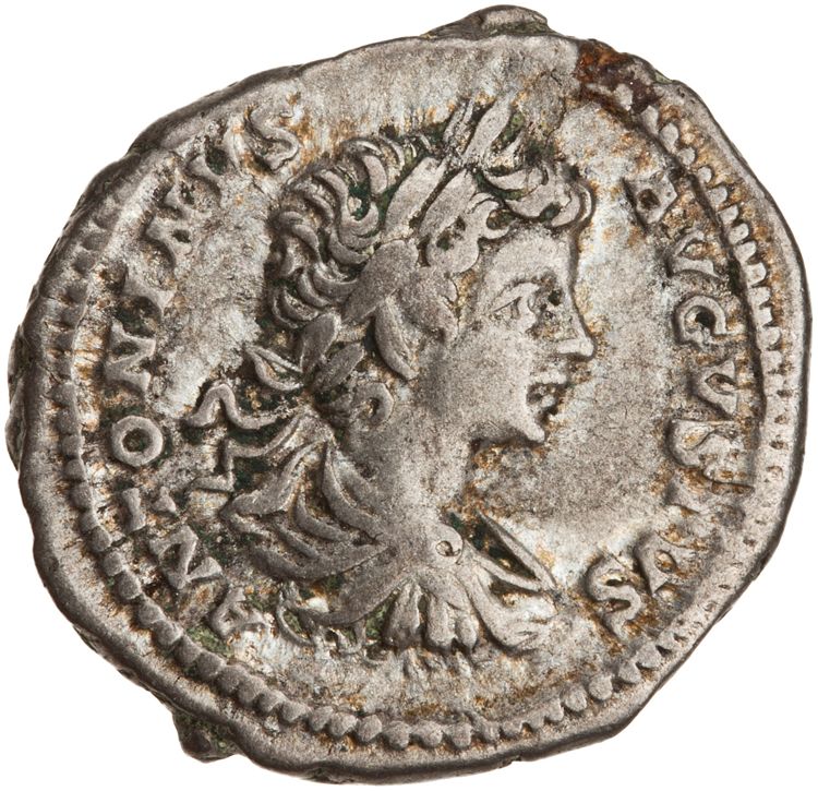 RIC IV Caracalla 39A (denarius), аверс, American Numismatic Society (ans)