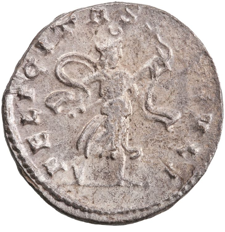 RIC V Valerian 213, реверс, American Numismatic Society (ans)