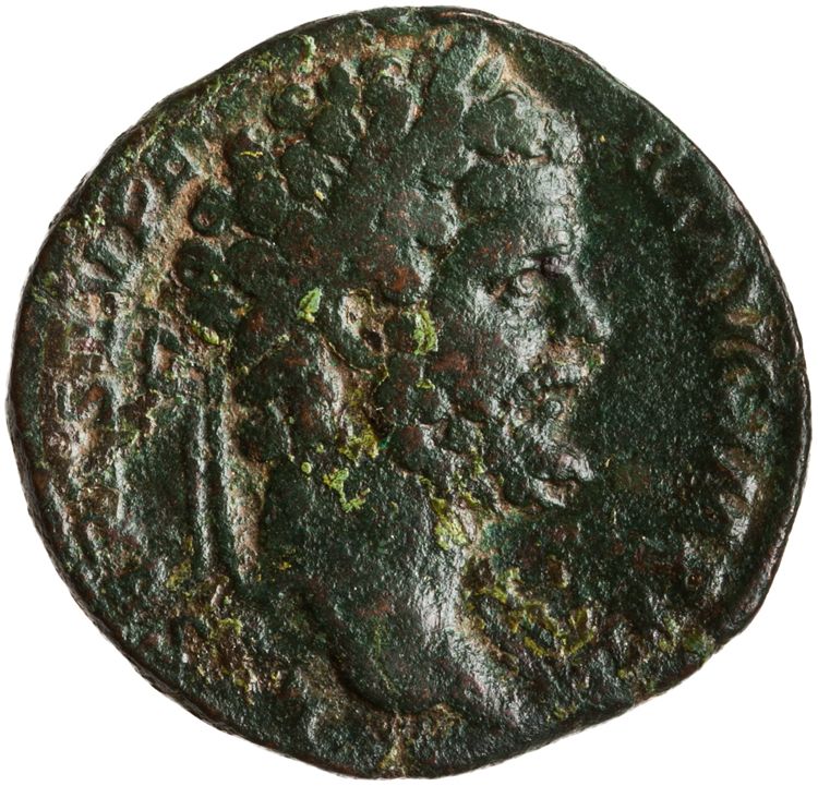 RIC IV Septimius Severus 702A, аверс, American Numismatic Society (ans)