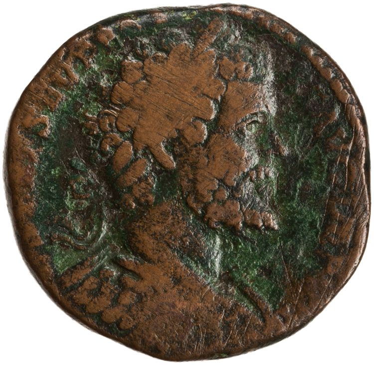 RIC IV Septimius Severus 706c, аверс, American Numismatic Society (ans)