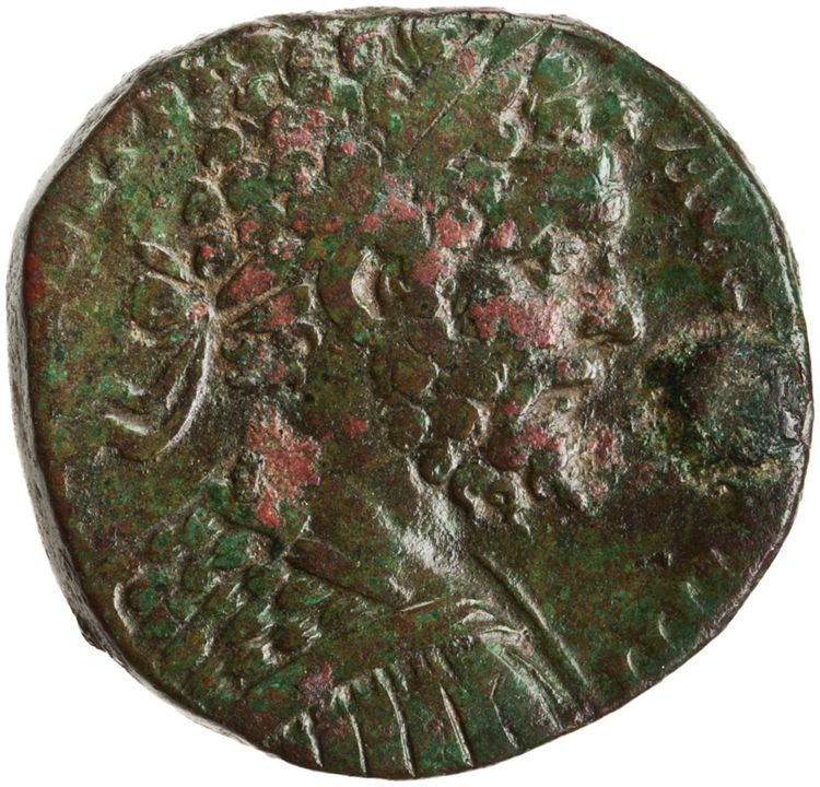 RIC IV Septimius Severus 719b, аверс, American Numismatic Society (ans)