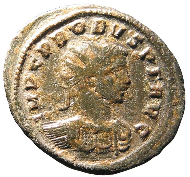 RIC V Probus 562, аверс, American Numismatic Society (ans)