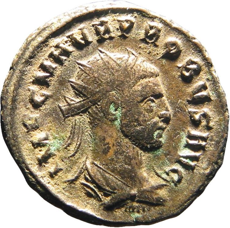 RIC V Probus 905, аверс, American Numismatic Society (ans)