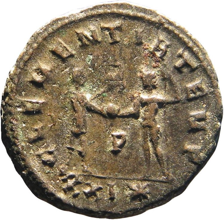 RIC V Probus 905, реверс, American Numismatic Society (ans)