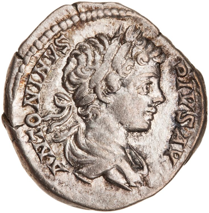 RIC IV Caracalla 54B, аверс, American Numismatic Society (ans)