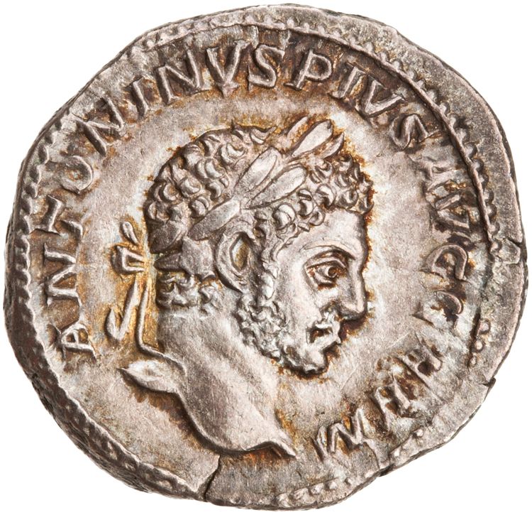 RIC IV Caracalla 240, аверс, American Numismatic Society (ans)