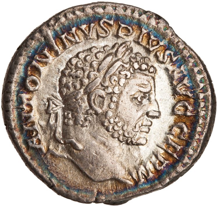 RIC IV Caracalla 289C, аверс, American Numismatic Society (ans)
