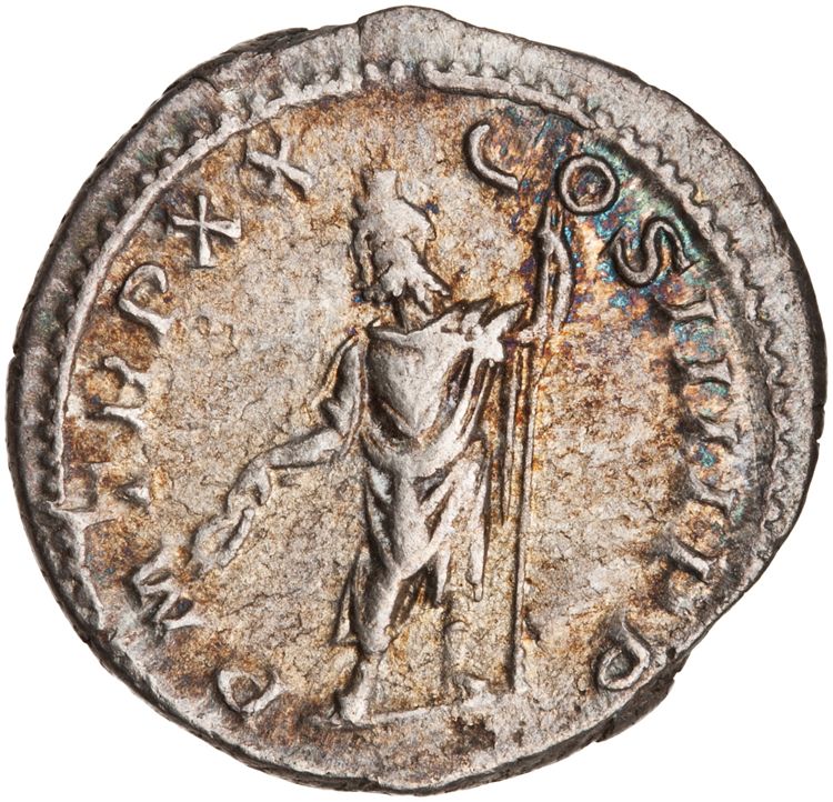 RIC IV Caracalla 289C, реверс, American Numismatic Society (ans)
