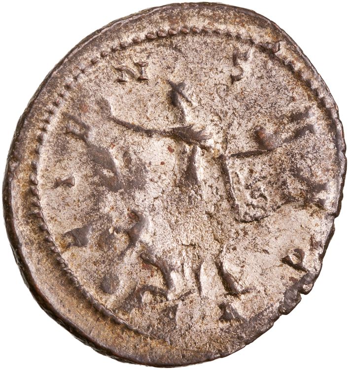 RIC V Aurelian 360, reverse, American Numismatic Society (ans)