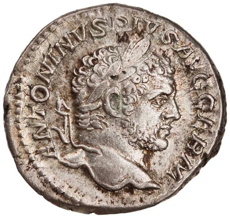 RIC IV Caracalla 307, аверс, American Numismatic Society (ans)
