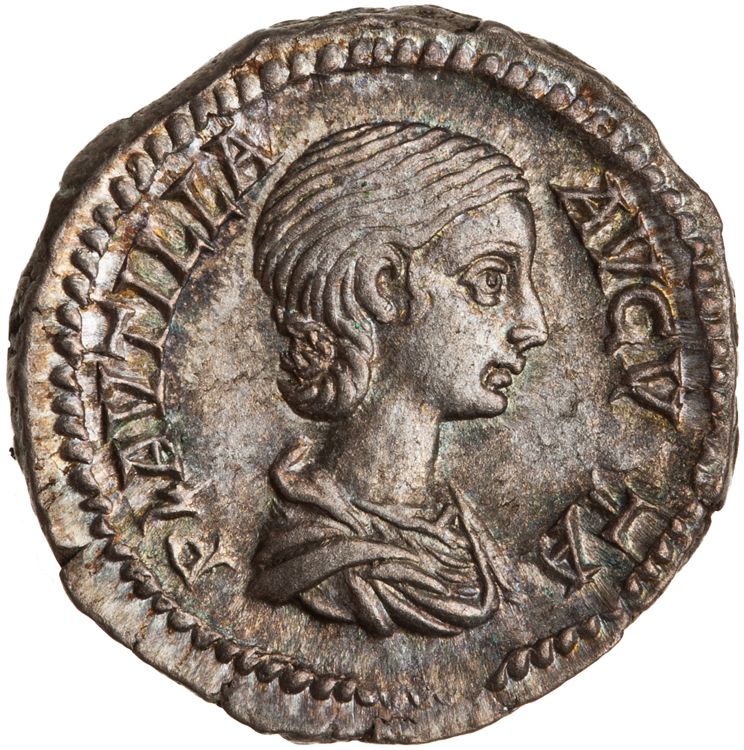 RIC IV Caracalla 367 (denarius), аверс, American Numismatic Society (ans)