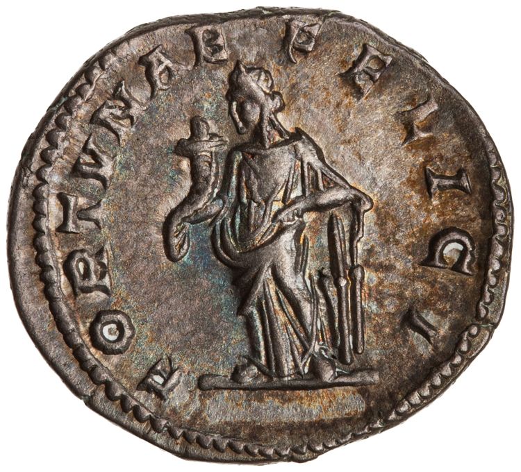 RIC IV Septimius Severus 552, реверс, American Numismatic Society (ans)