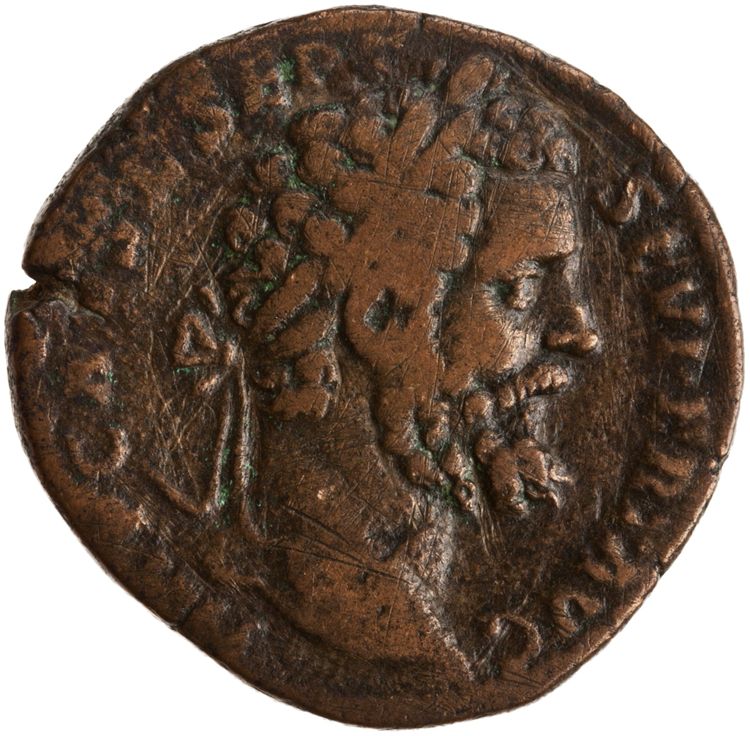RIC IV Septimius Severus 651, аверс, American Numismatic Society (ans)