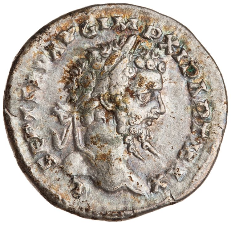 RIC IV Septimius Severus 133, аверс, American Numismatic Society (ans)