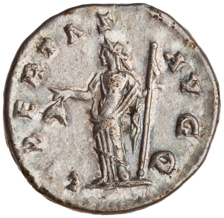 RIC IV Septimius Severus 133, реверс, American Numismatic Society (ans)