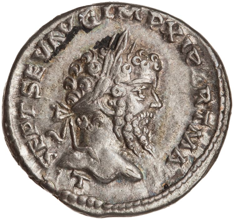 RIC IV Septimius Severus 135Ab, аверс, American Numismatic Society (ans)