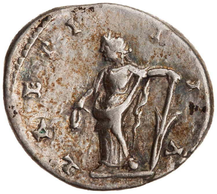RIC IV Septimius Severus 561 (denarius), реверс, American Numismatic Society (ans)