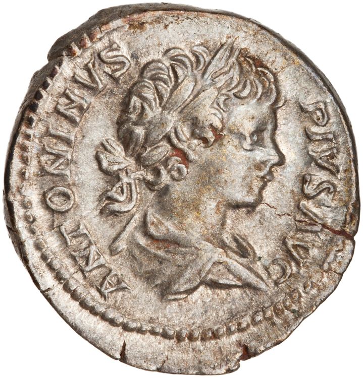 RIC IV Caracalla 63, аверс, American Numismatic Society (ans)