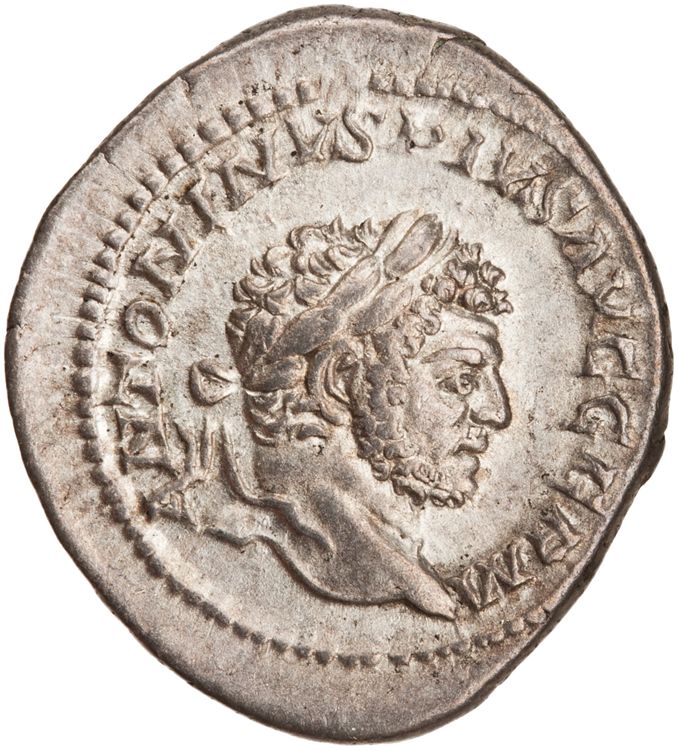 RIC IV Caracalla 253, аверс, American Numismatic Society (ans)