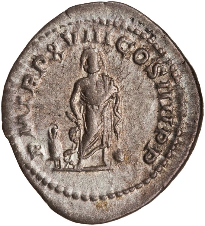RIC IV Caracalla 253, реверс, American Numismatic Society (ans)