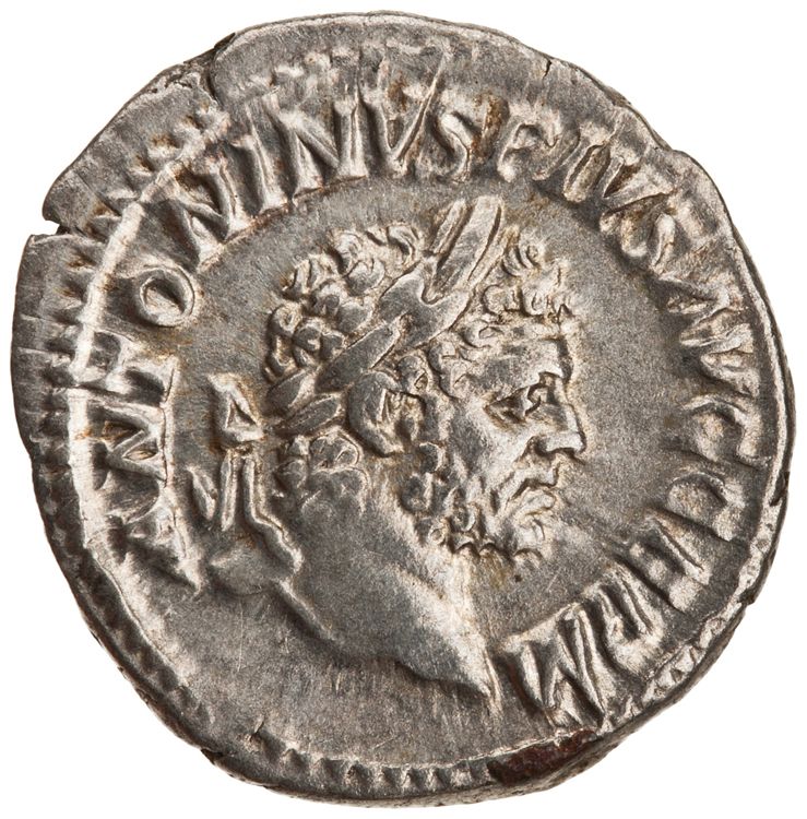 RIC IV Caracalla 254, аверс, American Numismatic Society (ans)