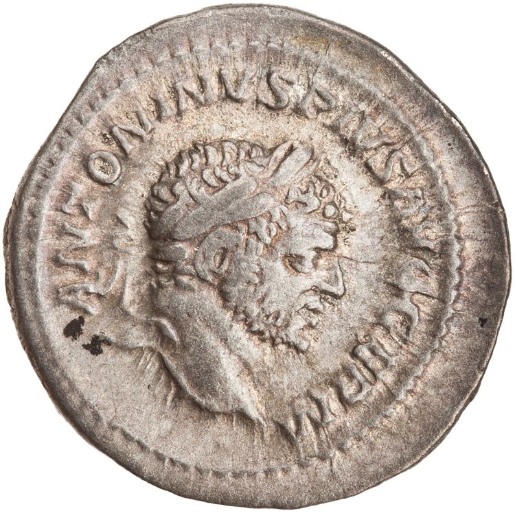 RIC IV Caracalla 263F, аверс, American Numismatic Society (ans)