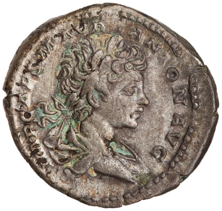 RIC IV Caracalla 26A, аверс, American Numismatic Society (ans)