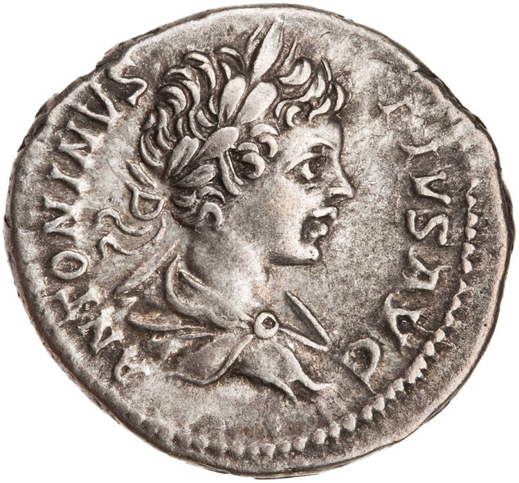 RIC IV Caracalla 63, аверс, American Numismatic Society (ans)