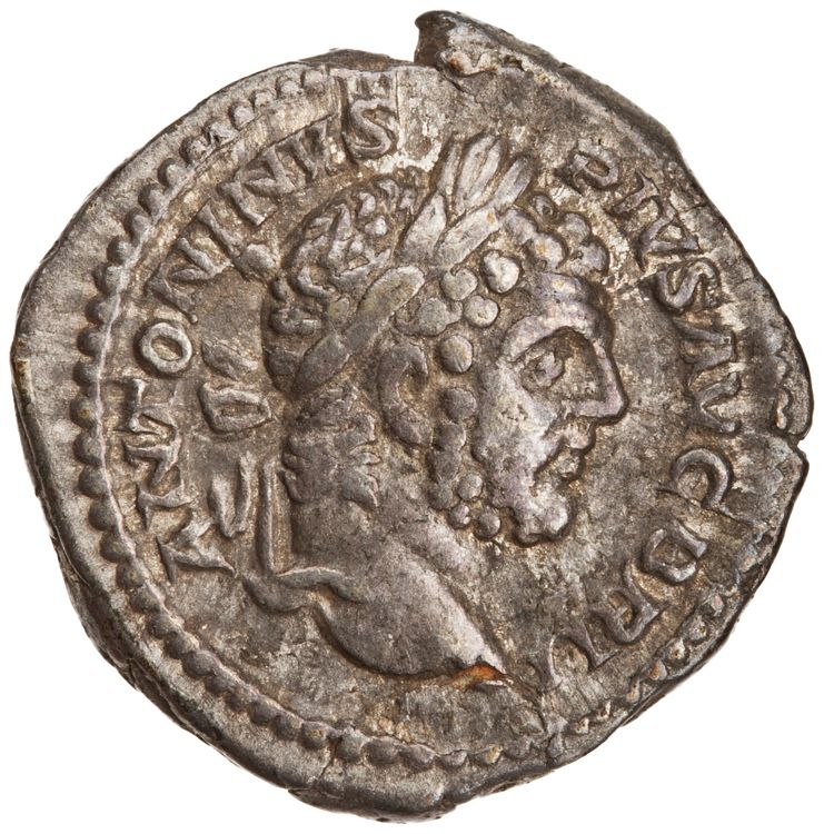 RIC IV Caracalla 199, аверс, American Numismatic Society (ans)