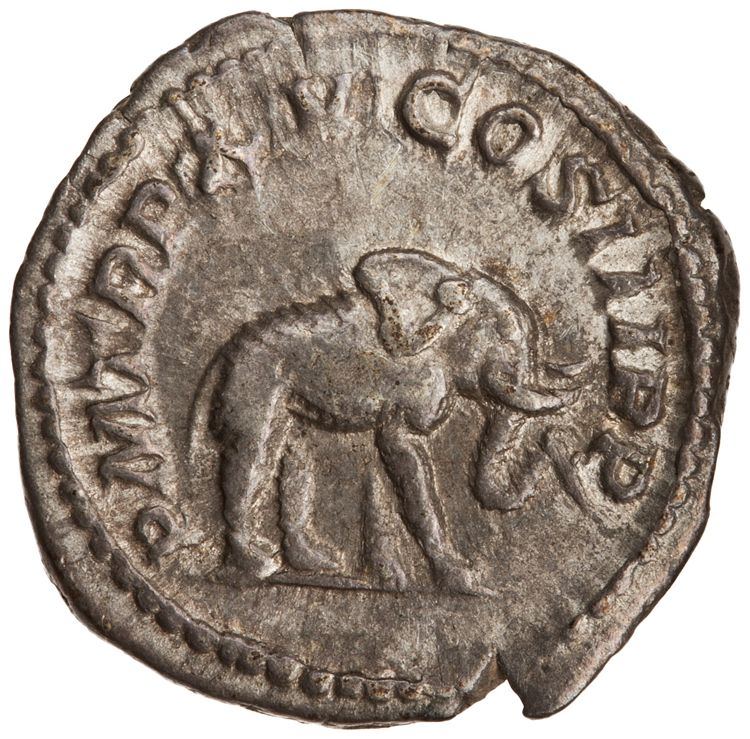 RIC IV Caracalla 199, реверс, American Numismatic Society (ans)