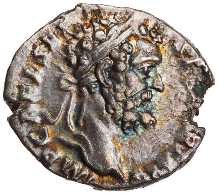 RIC IV Septimius Severus 18 (denarius), аверс, American Numismatic Society (ans)