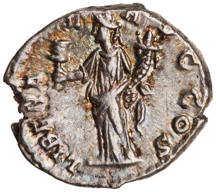 RIC IV Septimius Severus 18 (denarius), реверс, American Numismatic Society (ans)