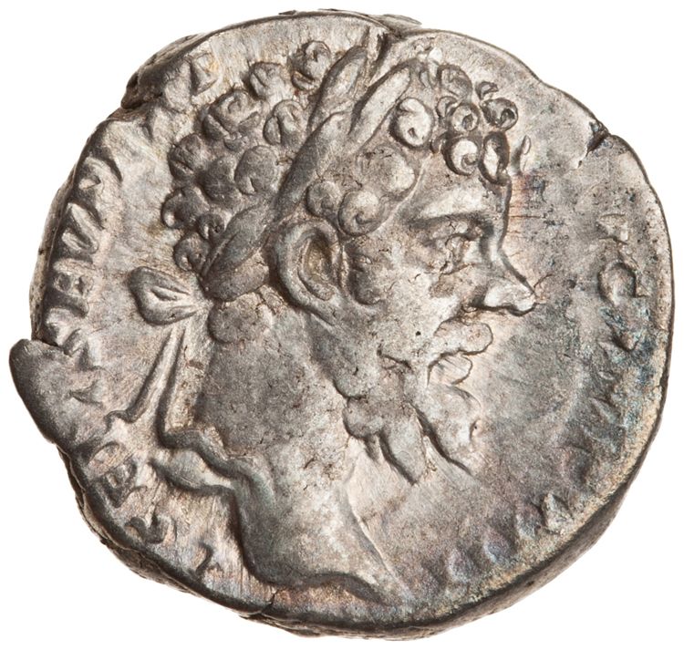 RIC IV Septimius Severus 86 (denarius), аверс, American Numismatic Society (ans)