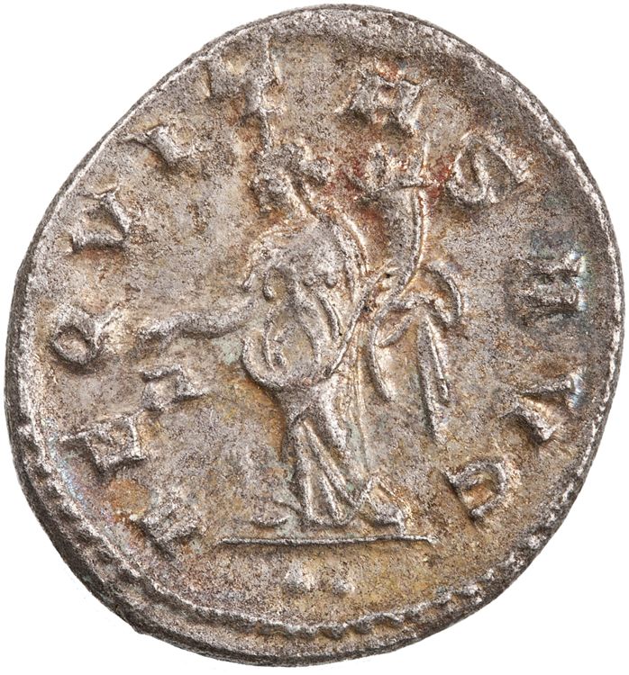 RIC IV Trebonianus Gallus 80: Subtype 3, reverse, American Numismatic Society (ans)