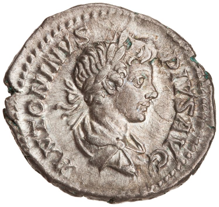 RIC IV Caracalla 145, аверс, American Numismatic Society (ans)
