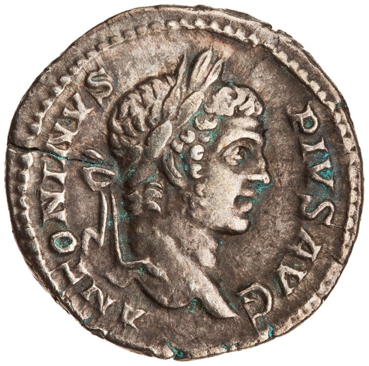 RIC IV Caracalla 108, аверс, American Numismatic Society (ans)