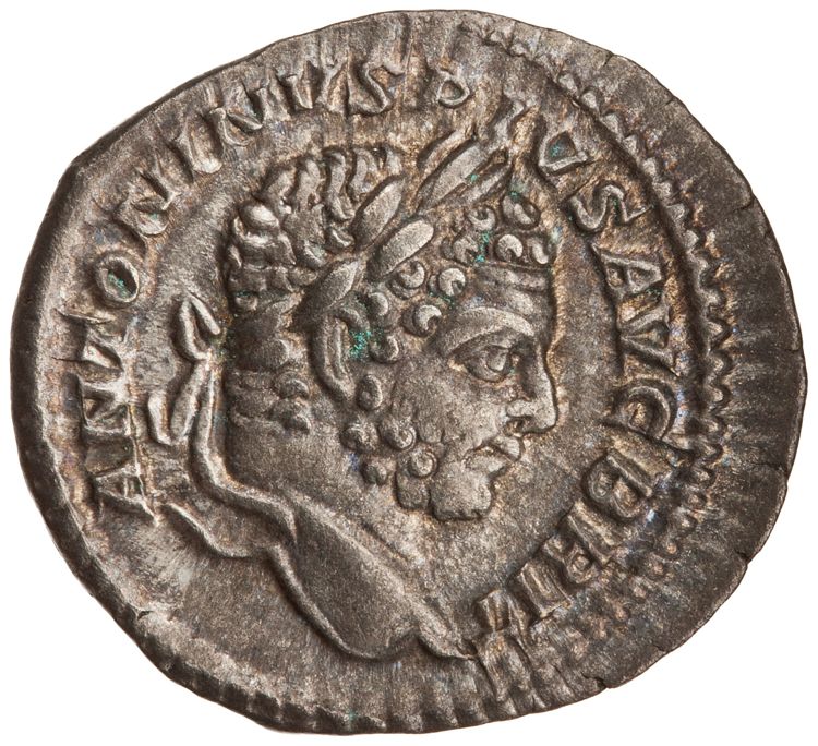 RIC IV Caracalla 196, аверс, American Numismatic Society (ans)