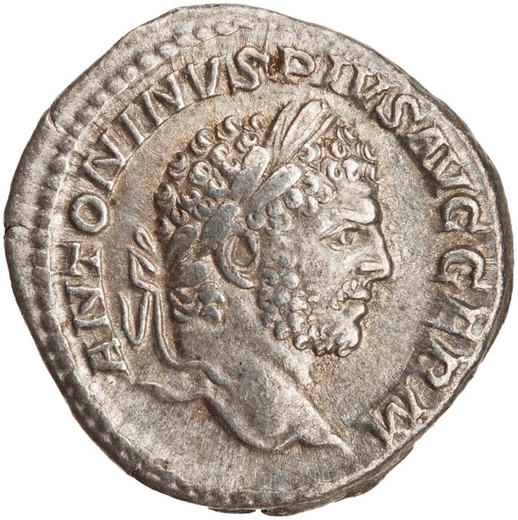 RIC IV Caracalla 246, аверс, American Numismatic Society (ans)