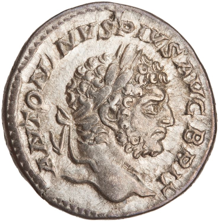 RIC IV Caracalla 206A, аверс, American Numismatic Society (ans)
