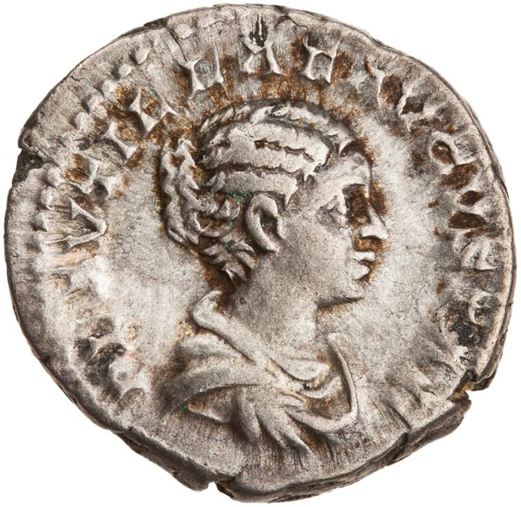 RIC IV Caracalla 359 (denarius), obverse, American Numismatic Society (ans)