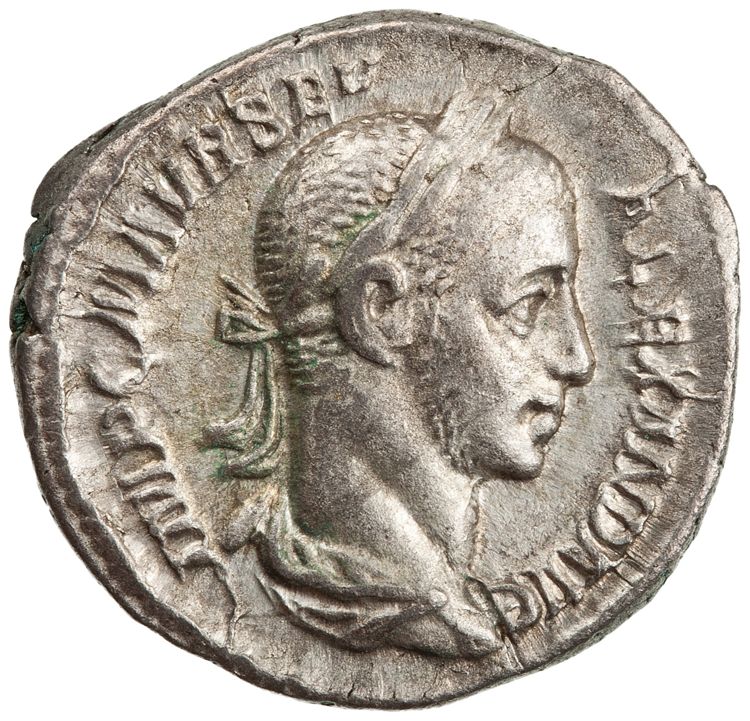 RIC IV Severus Alexander 53, obverse, American Numismatic Society (ans)