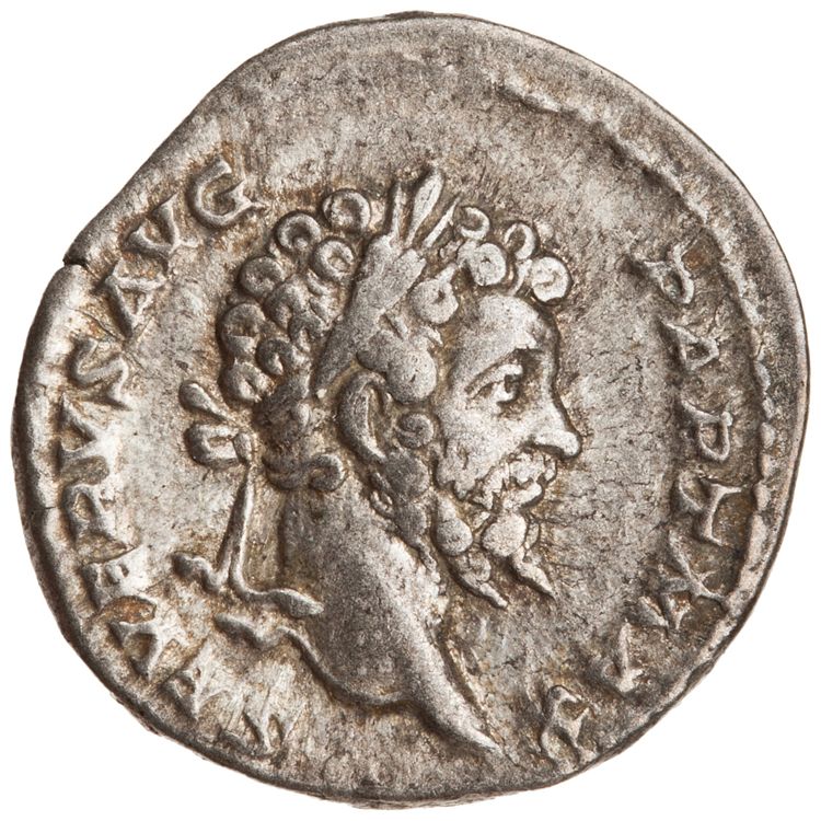 RIC IV Septimius Severus 170, аверс, American Numismatic Society (ans)