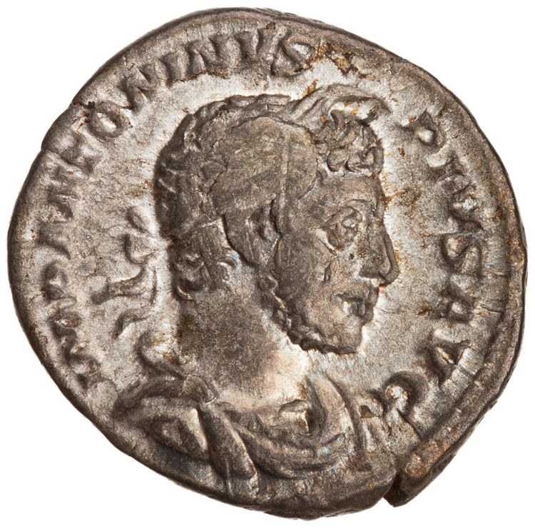 RIC IV Elagabalus 46b, аверс, American Numismatic Society (ans)