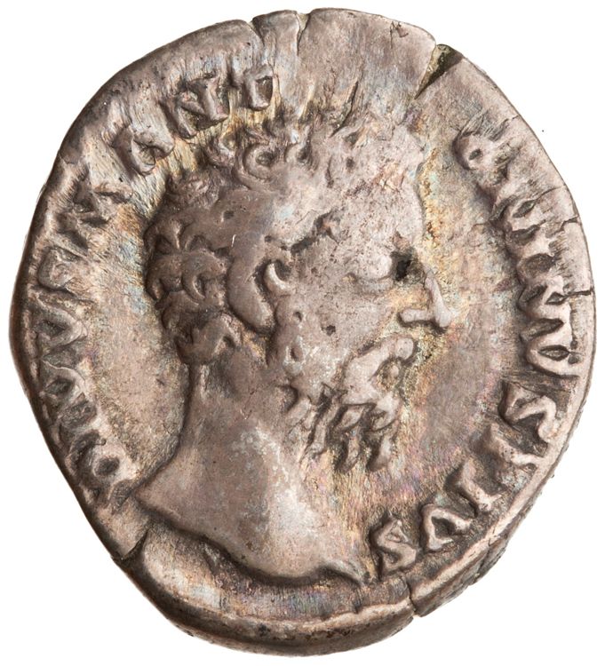 RIC III Commodus 275 (denarius), аверс, American Numismatic Society (ans)
