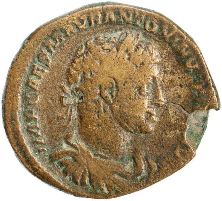 RIC IV Elagabalus 323, аверс, American Numismatic Society (ans)